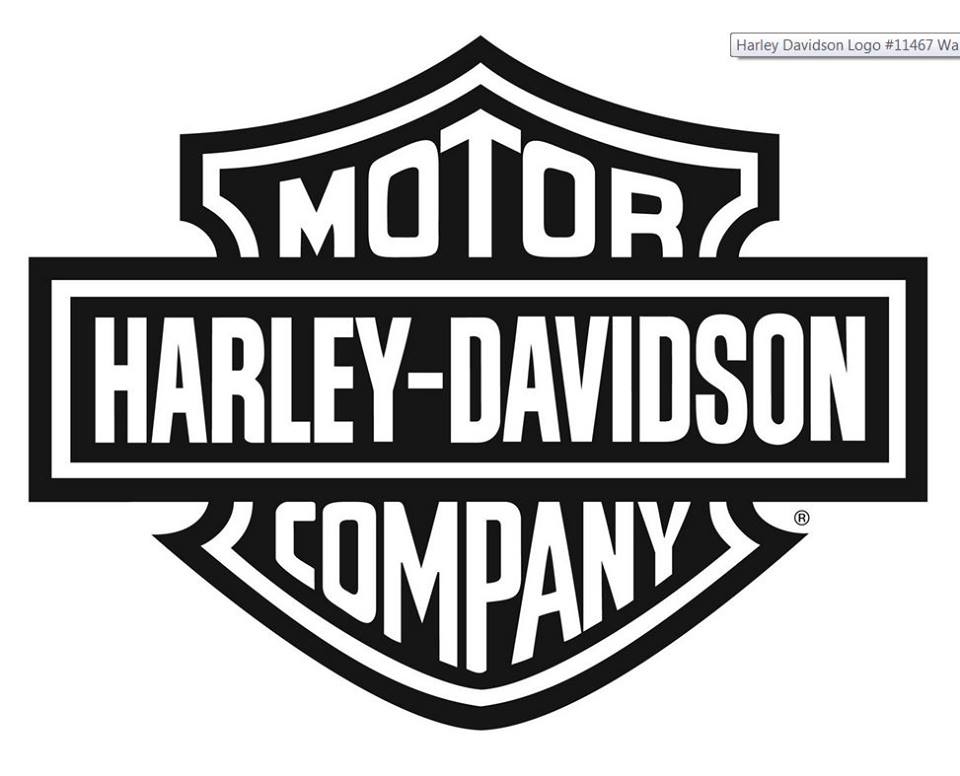 HARLEY-DAVIDSON MOTOR